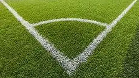 BBIN真人视讯 资讯 135626 t71