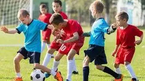 BBIN真人视讯 资讯 112452 e41